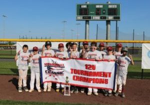 12U MDW Champions